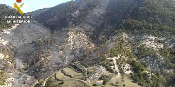 El Seprona investiga a una persona como presunto autor del incendio forestal de Ocentejo
