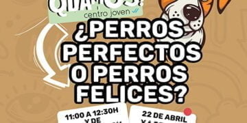 El taller ‘¿Perros perfectos o perros felices?’, este sábado en el Centro Joven de Cuenca