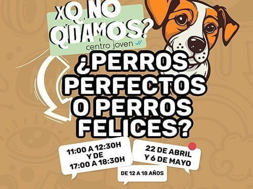 El taller ‘¿Perros perfectos o perros felices?’, este sábado en el Centro Joven de Cuenca 1 El taller ‘¿Perros perfectos o perros felices’, este sábado en el Centro Joven de Cuenca