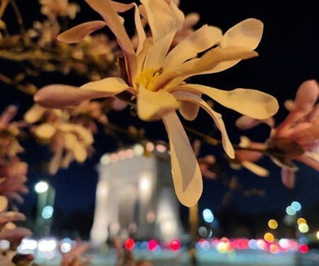 Comparación fotográfica: vivo X80 Pro vs vivo X90 Pro 1 Fotografía tomada con el vivo X80 Pro