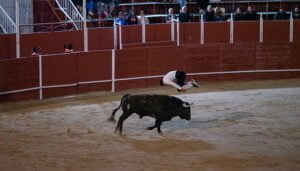 Los mejores especialistas del circuito nacional de recortadores llegarán a Trillo el próximo 23 de junio