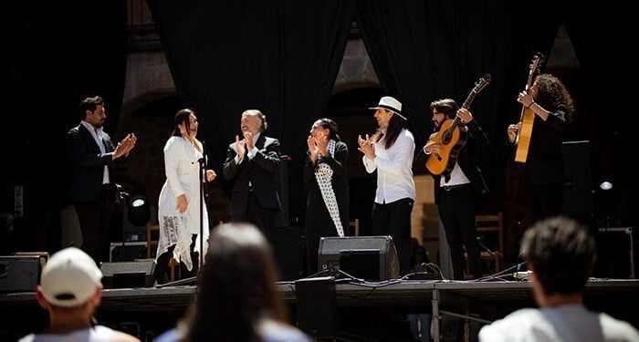 Sigüenza vuelve a llenarse de “Mujeres, Patrimonio”