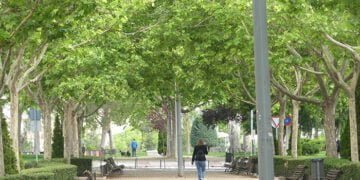 CEOE-Cepyme Cuenca celebra el Día del Medio Ambiente trabajando este aspecto con sus empresas