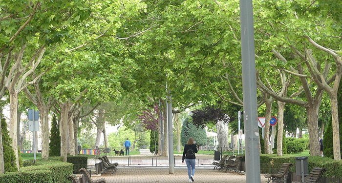 CEOE-Cepyme Cuenca celebra el Día del Medio Ambiente trabajando este aspecto con sus empresas