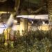 Desmantelada una plantación de marihuana de alto rendimiento en Alcolea del Pinar