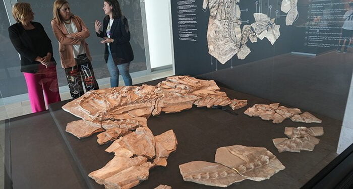 El Gobierno regional destaca que las visitas al MUPA, hasta el mes de mayo, se han incrementado en casi un diez por ciento