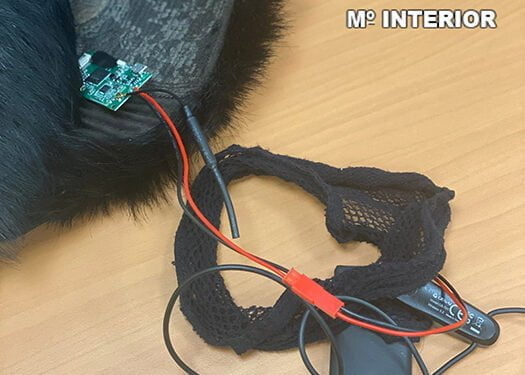 Escondía, bajo una peluca, un intercomunicador para copiar el examen de conducir en Cuenca la Guardia Civil le ha denunciado