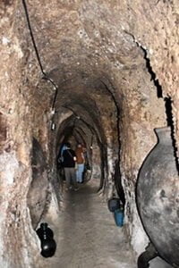 Éxito en la jornada enológica de Gárgoles de Abajo