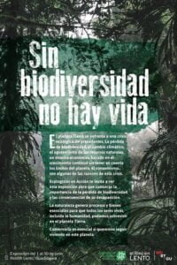 Exposición “Sin Biodiversidad No Hay Vida”, hasta el 30 de junio en el Rincón Lento