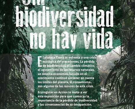 Exposición “Sin Biodiversidad No Hay Vida”, hasta el 30 de junio en el Rincón Lento 1 Exposición “Sin Biodiversidad No Hay Vida”, hasta el 30 de junio en el Rincón Lento