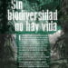 Exposición “Sin Biodiversidad No Hay Vida”, hasta el 30 de junio en el Rincón Lento 3 Exposición “Sin Biodiversidad No Hay Vida”, hasta el 30 de junio en el Rincón Lento