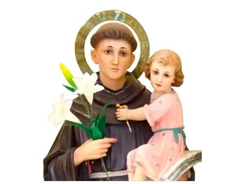 Fiestas de San Antonio en Moncalvillo este fin de semana