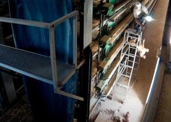 Juicio contra los dueños de una granja avícola de Guadalajara por el presunto maltrato continuado a 170.000 gallinas