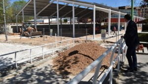 La Diputación de Cuenca realiza la obra de mejora de la pista de La Hípica con una inversión de 450.000 euros