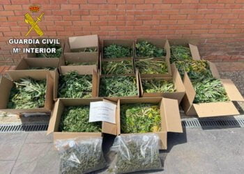 La Guardia Civil desmantela dos plantaciones de marihuana “indoor” en Torrejón del Rey y en Uceda