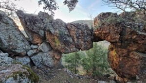 La Junta celebra el Día mundial del Medio Ambiente con numerosas actividades en los centros de educación ambiental de la región