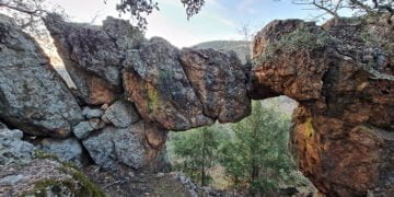 La Junta celebra el Día mundial del Medio Ambiente con numerosas actividades en los centros de educación ambiental de la región