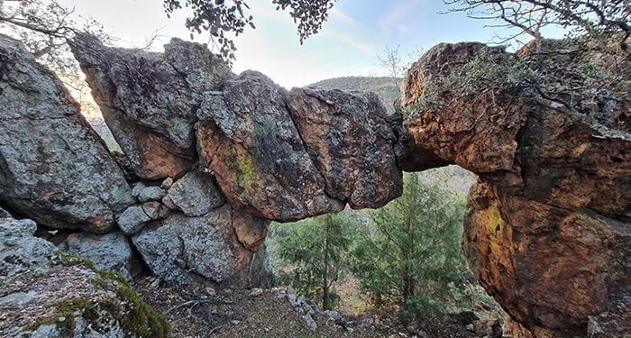 La Junta celebra el Día mundial del Medio Ambiente con numerosas actividades en los centros de educación ambiental de la región 1 La Junta celebra el Día mundial del Medio Ambiente con numerosas actividades en los centros de educación ambiental de la región
