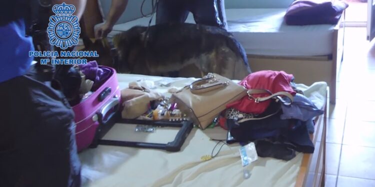 La Policía Nacional desmantela una organización criminal dedicada a la prostitución de mujeres paraguayas en Cuenca 1 La Policía Nacional desmantela una organización criminal dedicada a la prostitución de mujeres paraguayas en Cuenca