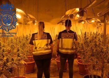 La Policía Nacional desmantela una plantación “indoor” de marihuana en Cabanillas del Campo