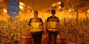 La Policía Nacional desmantela una plantación “indoor” de marihuana en Cabanillas del Campo