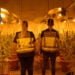 La Policía Nacional desmantela una plantación “indoor” de marihuana en Cabanillas del Campo 3 La Policía Nacional desmantela una plantación “indoor” de marihuana en Cabanillas del Campo