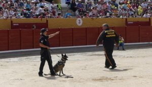La Policía Nacional muestra su trabajo a los escolares de Guadalajara