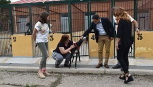 Mejorar la vida de los perros y de las personas con problemas de salud mental es el objetivo de Vivir y la Diputación de Cuenca