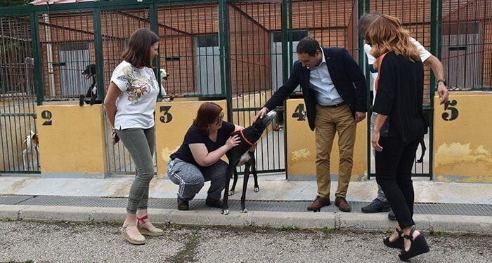 Mejorar la vida de los perros y de las personas con problemas de salud mental es el objetivo de Vivir y la Diputación de Cuenca 1 Mejorar la vida de los perros y de las personas con problemas de salud mental es el objetivo de Vivir y la Diputación de Cuenca