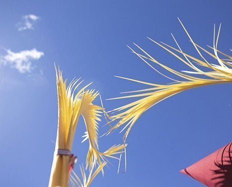 La instantánea “La espera”, de Pepi Vieco Asensio, ganadora del XIV Premio de Fotografía de la Junta de Cofradías