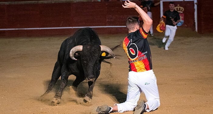 Sergio Recuero cumple su sueño de ser campeón del Concurso de Recortes ‘Villa de Trillo’, su pueblo 1 Sergio Recuero cumple su sueño de ser campeón del Concurso de Recortes ‘Villa de Trillo’, su pueblo