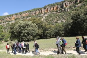 Sigüenza avanza hacia la desestacionalización del turismo con nuevas experiencias sostenibles
