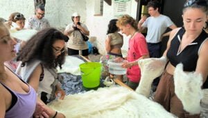 Trashumancia y arte contemporáneo en la Cañada Conquense