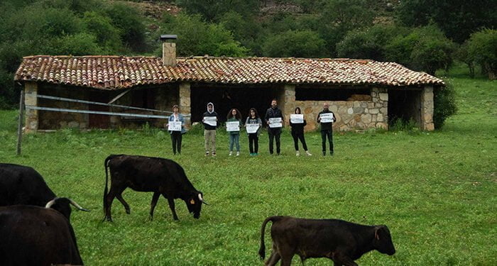Trashumancia y arte contemporáneo en la Cañada Conquense