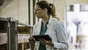 Los veterinarios recuerdan que la enfermedad Hemorrágica Epizoótica detectada en Ciudad Real no afecta a los humanos