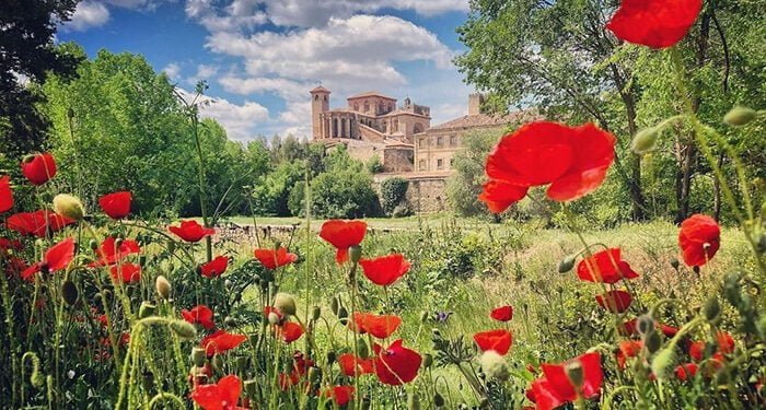 @decampoycorzos gana el III #ConcursoFotoRed con una bellísima panorámica de Sigüenza