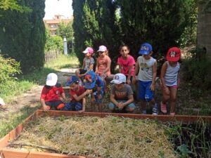 actividad huerto aldeas infantiles 1