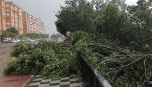 Caída de ramas, balsas de agua..., Cuenca vuelve a sufrir los efectos de una fuerte tormenta