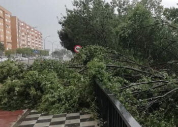 Caída de ramas, balsas de agua…, Cuenca vuelve a sufrir los efectos de una fuerte tormenta Caída de ramas, balsas de agua…, Cuenca vuelve a sufrir los efectos de una fuerte tormenta