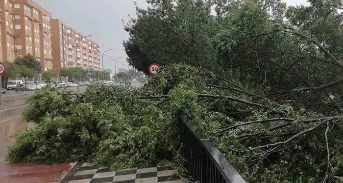 Caída de ramas, balsas de agua..., Cuenca vuelve a sufrir los efectos de una fuerte tormenta 1 Caída de ramas, balsas de agua..., Cuenca vuelve a sufrir los efectos de una fuerte tormenta