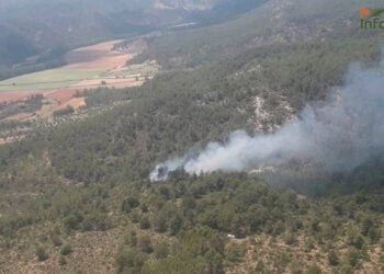 Controlado en menos de una hora un incendio de matorral en Cardenete