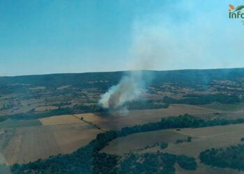 Controlado un incendio agrícola en Castejón que ha movilizado a más de 70 personas