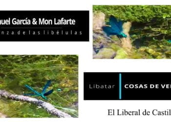 Cosas del verano. Libatar. La Danza de las Libélulas con Manuel García y Mon Laferte