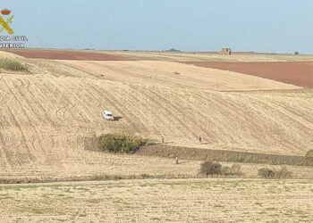 Cuatro personas sorprendidas por el Seprona en el término municipal de Quer cazando furtivamente con galgos
