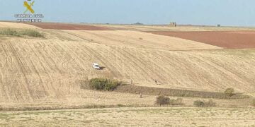 Cuatro personas sorprendidas por el Seprona en el término municipal de Quer cazando furtivamente con galgos