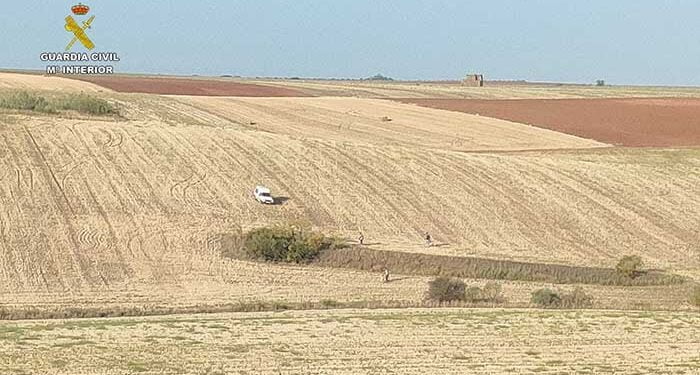 cuatro personas sorprendidas por el seprona en el termino municipal de quer cazando furtivamente con galgos 1