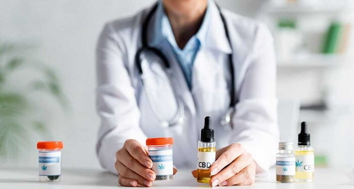 El CBD un remedio natural para las articulaciones de perros y gatos