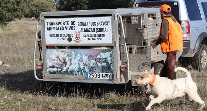 El MAPA favorece la simplificación administrativa a los rehaleros para la limpieza y desinfección de vehículos tras la petición de ARRECAL 1 El MAPA favorece la simplificación administrativa a los rehaleros para la limpieza y desinfección de vehículos tras la petición de ARRECAL
