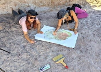 Investigadores de la UAH descubren nuevas huellas fósiles de vertebrados del Cretácico en Tamajón