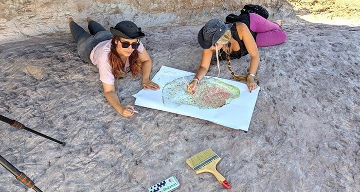 Investigadores de la UAH descubren nuevas huellas fósiles de vertebrados del Cretácico en Tamajón 1 Investigadores de la UAH descubren nuevas huellas fósiles de vertebrados del Cretácico en Tamajón